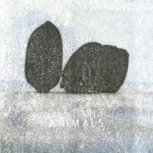 Distant Animals - Lines i gruppen VINYL / Rock hos Bengans Skivbutik AB (3212029)