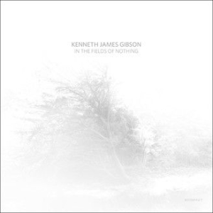 Gibson Kenneth James - In The Fields Of Nothing i gruppen CD / Dans/Techno hos Bengans Skivbutik AB (3217536)