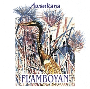 Awankana - Flamboyan i gruppen CD / Pop-Rock hos Bengans Skivbutik AB (3218431)