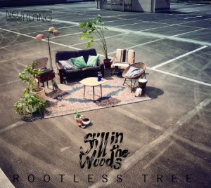 Still In The Woods - Rootless Tree i gruppen CD / Jazz/Blues hos Bengans Skivbutik AB (3225169)