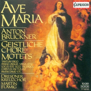 A.Bruckner Motetten i gruppen Externt_Lager / Naxoslager hos Bengans Skivbutik AB (3226972)