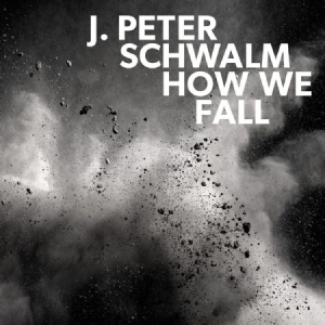 Schwalm J.Peter - How We Fall i gruppen CD / Pop hos Bengans Skivbutik AB (3227678)