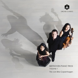 Beethoven Ludwig Van - Piano Trios Vol. 1 i gruppen Externt_Lager / Naxoslager hos Bengans Skivbutik AB (3228591)