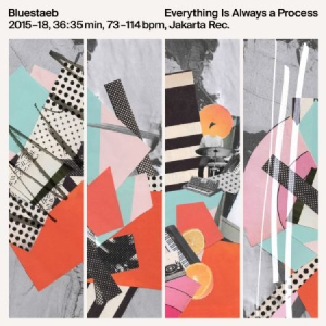 Bluestaeb - Everything Is Always A Process i gruppen VINYL / RNB, Disco & Soul hos Bengans Skivbutik AB (3232267)