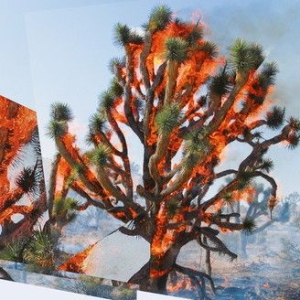 Ambarchi Oren Kassel Jaeger & Jame - Face Time (Ltd. Neon Orange Vinyl) i gruppen VINYL / Dans/Techno hos Bengans Skivbutik AB (3234502)