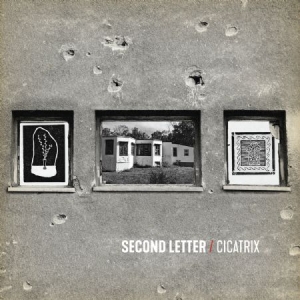 Second Letter - Cicatrix (Red Vinyl + Download) i gruppen VINYL / Rock hos Bengans Skivbutik AB (3234541)
