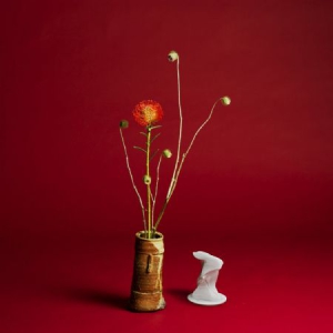 Seiho - Collapse i gruppen VINYL / Dans/Techno hos Bengans Skivbutik AB (3236115)