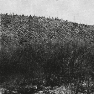 Pina - Lärm i gruppen VINYL / Pop hos Bengans Skivbutik AB (3236271)