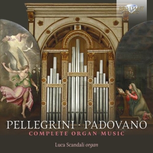 Padovano Annibale Pellegrini Vin - Complete Organ Music i gruppen Externt_Lager / Naxoslager hos Bengans Skivbutik AB (3247072)