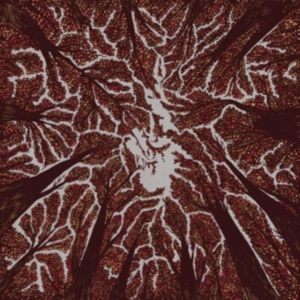 Trash Boat - Crown Shyness i gruppen CD / Pop-Rock hos Bengans Skivbutik AB (3249013)