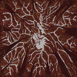 Trash Boat - Crown Shyness i gruppen CD / Pop-Rock hos Bengans Skivbutik AB (3249013)