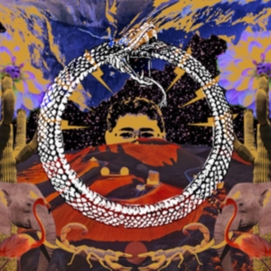 Stone House On Fire - Neverending Cycle - Ltd.Ed. i gruppen VINYL / Hårdrock hos Bengans Skivbutik AB (3249273)