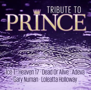 Various Artists - Tribute To Prince i gruppen CD / Pop-Rock hos Bengans Skivbutik AB (3250540)
