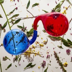 Dirty Projectors - Lamp Lit Prose (Red Or Blue Vinyl) in the group OUR PICKS / Way Out West / Old Wow at Bengans Skivbutik AB (3250669)