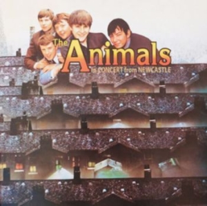 Animals - In Concert From Newcastle 1963 i gruppen CD / Rock hos Bengans Skivbutik AB (3264665)