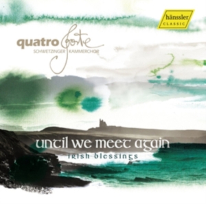 Various - Until We Meet Again: Irish Blessing i gruppen CD / Elektroniskt,World Music hos Bengans Skivbutik AB (3265329)