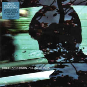 Anderson Brett - Slow Attack i gruppen VINYL / Pop-Rock hos Bengans Skivbutik AB (3266717)
