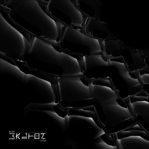 Walton - Black Lotus i gruppen VINYL / Dans/Techno hos Bengans Skivbutik AB (3266755)