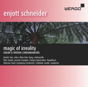 Schneider Enjott - Magic Of Irreality i gruppen Externt_Lager / Naxoslager hos Bengans Skivbutik AB (3266800)