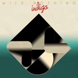 Wild nothing - Indigo i gruppen CD / Pop hos Bengans Skivbutik AB (3266977)