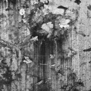 K. Leimer - Threnody i gruppen CD / Rock hos Bengans Skivbutik AB (3267253)