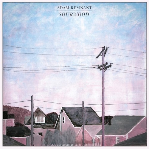 Remnant Adam - Sourwood i gruppen VINYL / Rock hos Bengans Skivbutik AB (3274044)