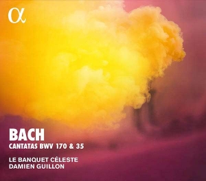Bach J S - Cantatas Bwv 170 & 35 i gruppen Externt_Lager / Naxoslager hos Bengans Skivbutik AB (3274093)