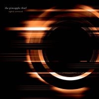 Pineapple Thief - Dissolution i gruppen VINYL / Rock hos Bengans Skivbutik AB (3277399)