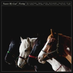 Foxing - Nearer My God i gruppen VINYL / Pop-Rock hos Bengans Skivbutik AB (3277406)