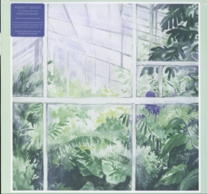 Kenney Madeline - Perfect Shapes i gruppen ÖVRIGT / Övrigt / aub hos Bengans Skivbutik AB (3277967)