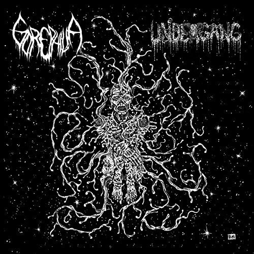 Undergang / Gorephilia - Split 7 i gruppen VINYL / Hårdrock/ Heavy metal hos Bengans Skivbutik AB (3278210)