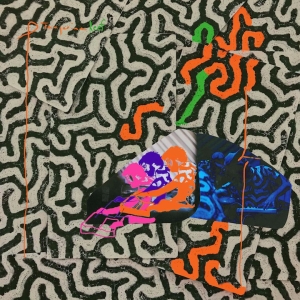 Animal Collective - Tangerine Reef (Coloured Vinyl) i gruppen VINYL / Pop-Rock hos Bengans Skivbutik AB (3299019)