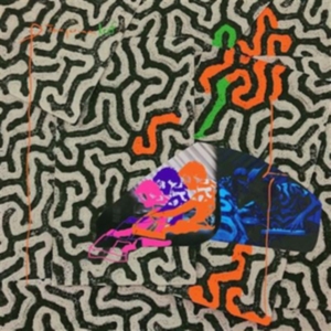 Animal Collective - Tangerine Reef i gruppen CD / Pop-Rock hos Bengans Skivbutik AB (3299024)