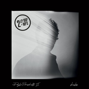 Doyle Bramhall Ii - Shades i gruppen VINYL / Pop-Rock hos Bengans Skivbutik AB (3304676)