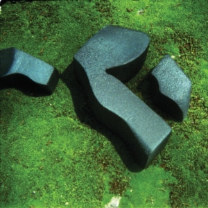 Camilla Fuchs - Heart Pressend Between Stones i gruppen ÖVRIGT / Övrigt / aub hos Bengans Skivbutik AB (3306719)