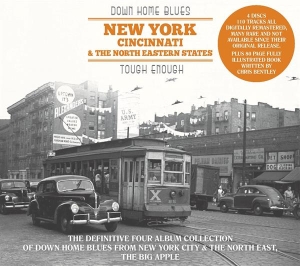 Various - Down Home Blues: New York, Cincinnati, North Eastern States i gruppen ÖVRIGT / Övrigt / aub hos Bengans Skivbutik AB (3306859)