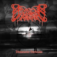 Division Vansinne - Dimension Darkness i gruppen CD / Hårdrock hos Bengans Skivbutik AB (3308079)