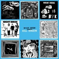 Night Birds - Roll Credits (Vinyl Lp) i gruppen ÖVRIGT / Övrigt / aub hos Bengans Skivbutik AB (3309508)