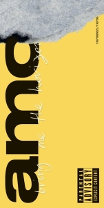 Bring Me The Horizon - Amo i gruppen ÖVRIGT / -Start CD hos Bengans Skivbutik AB (3310267)