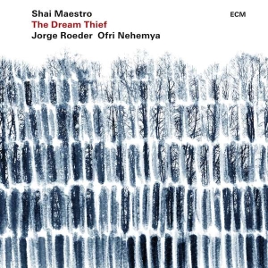 Maestro Shai Roeder Jorge Nehem - The Dream Thief i gruppen CD / CD Jazz hos Bengans Skivbutik AB (3310351)