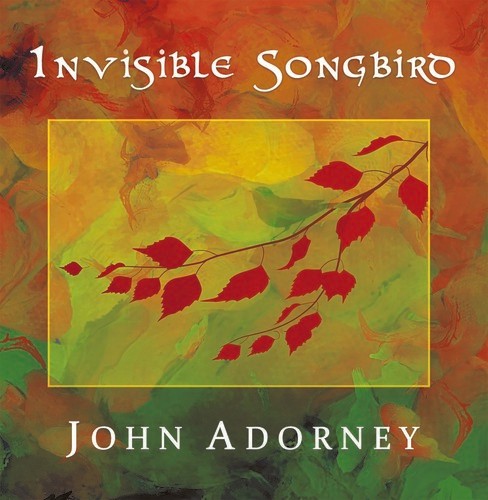 John Adorney - Invisible Songbird i gruppen CD / Pop hos Bengans Skivbutik AB (3310703)