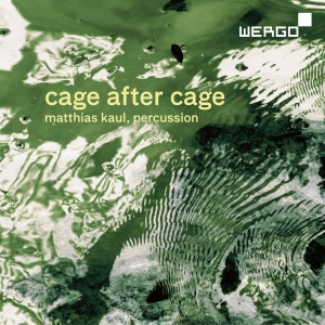 Cage John - Cage After Cage i gruppen Externt_Lager / Naxoslager hos Bengans Skivbutik AB (3311257)