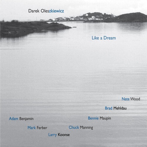 Darek Olez & Brad Mehldau - Like A Dream i gruppen CD / Jazz/Blues hos Bengans Skivbutik AB (3311277)