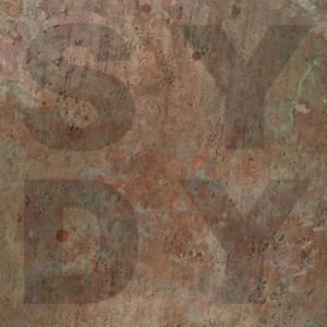 Shiny Darkly - Bronze i gruppen VINYL / Dansk Musik,Pop-Rock hos Bengans Skivbutik AB (3312407)