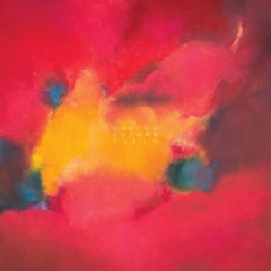 Oddzoo - Future Flesh i gruppen CD / Dans/Techno hos Bengans Skivbutik AB (3317246)