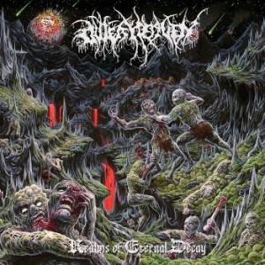 Outer Heaven - Realms Of Eternal Decay i gruppen CD / Hårdrock/ Heavy metal hos Bengans Skivbutik AB (3317253)