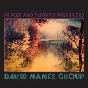 David Nance Group - Peaced And Slightly Pulverized (Ltd i gruppen VINYL / Kommande / Rock hos Bengans Skivbutik AB (3321513)