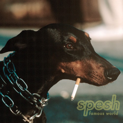Spesh - Famous World i gruppen VINYL / Rock hos Bengans Skivbutik AB (3322201)