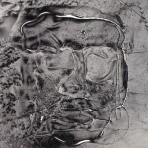 How To Dress Well - The Anteroom i gruppen VINYL / Pop-Rock hos Bengans Skivbutik AB (3322693)