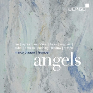 Various - Angels i gruppen Externt_Lager / Naxoslager hos Bengans Skivbutik AB (3329204)